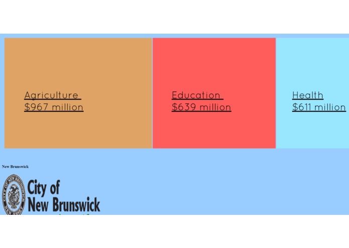 Budget Organizer – screenshot 1