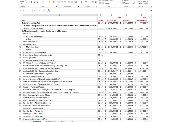 New Brunswick City Financial Data Visualization – screenshot 4