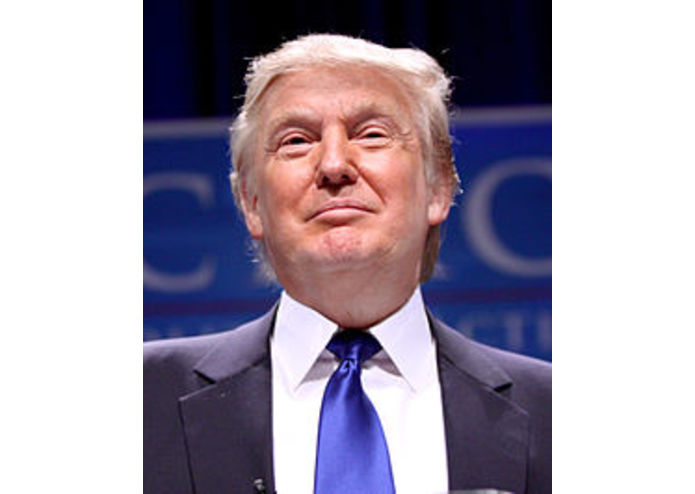 A Call from Trump – screenshot 1