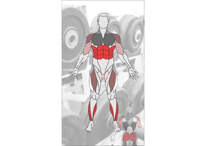 Gainz – screenshot 4
