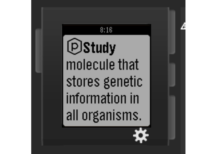 Pebble Study – screenshot 2