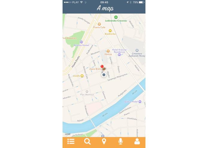 TravelVoice – screenshot 5