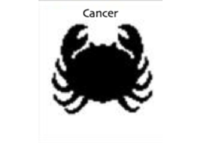 Horoscope Companion – screenshot 4