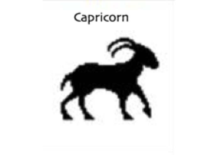 Horoscope Companion – screenshot 5