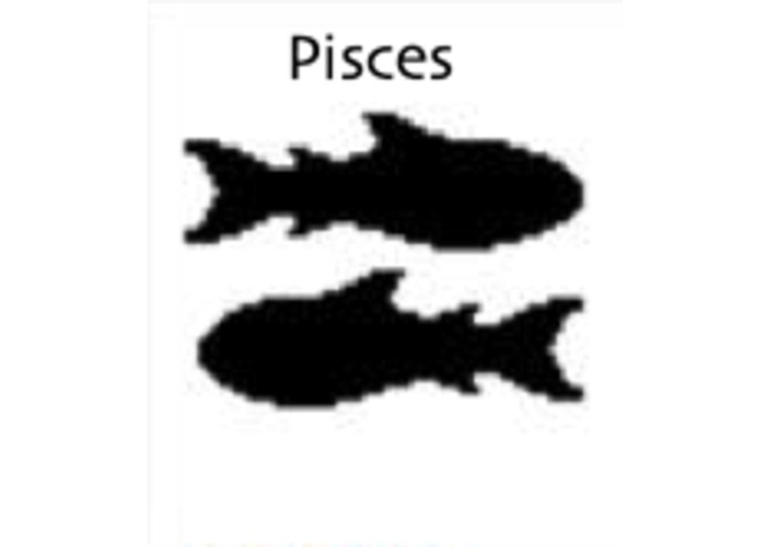 Horoscope Companion – screenshot 12