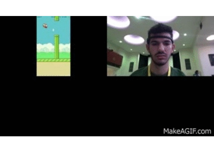 MuseBird – screenshot 1