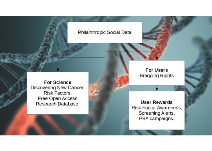My Risk Factor – screenshot 1