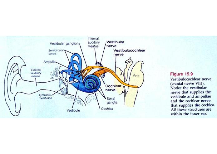 BalanceVR – screenshot 5