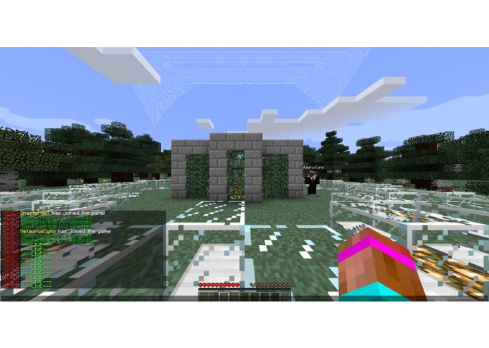 MC_HungerGames – screenshot 2