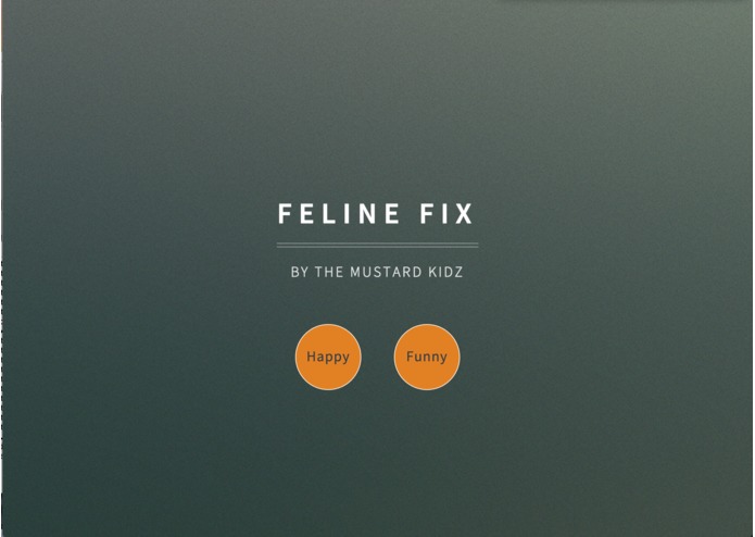 Feline Fix – screenshot 1