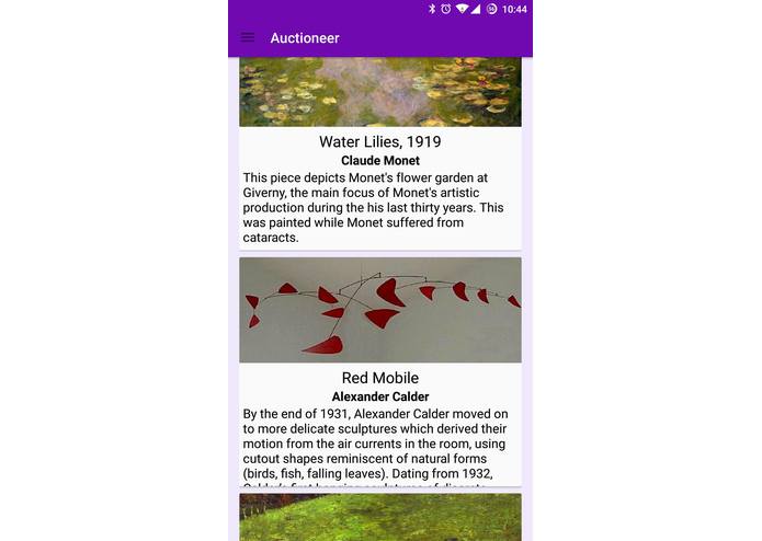 Auctioneer – screenshot 12