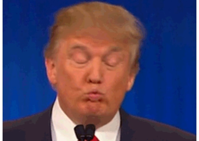 Trump – screenshot 2