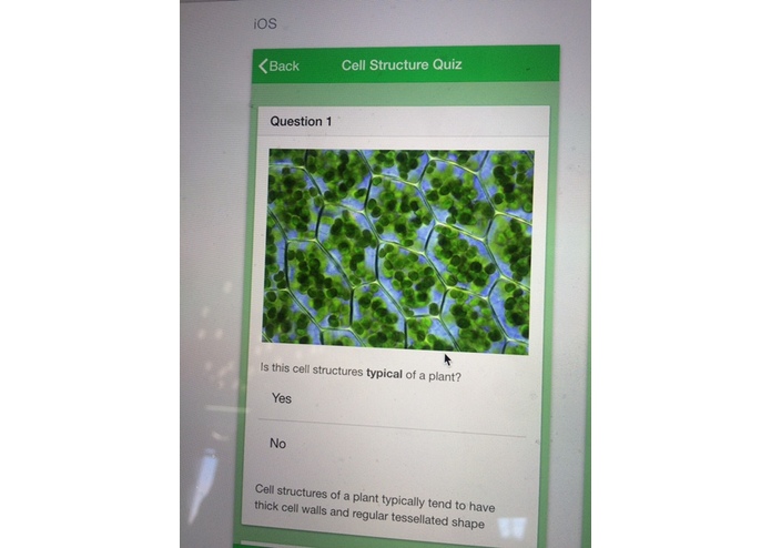 Study+ – screenshot 3