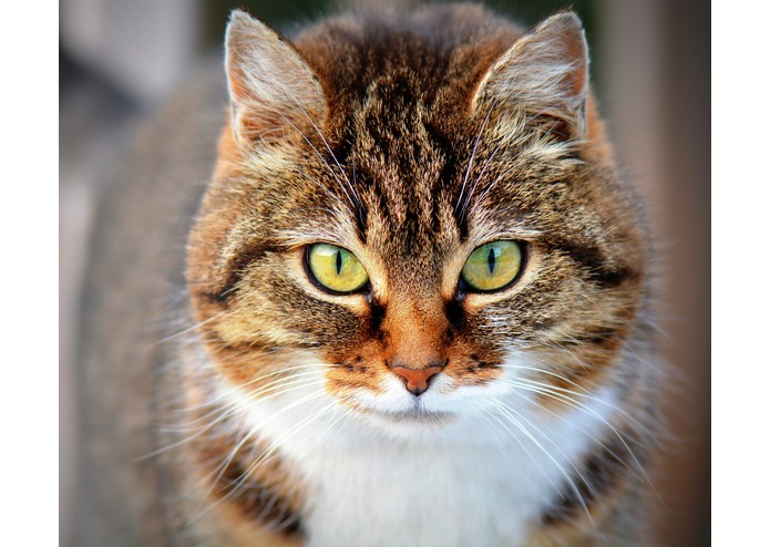 ScavAR – screenshot 6