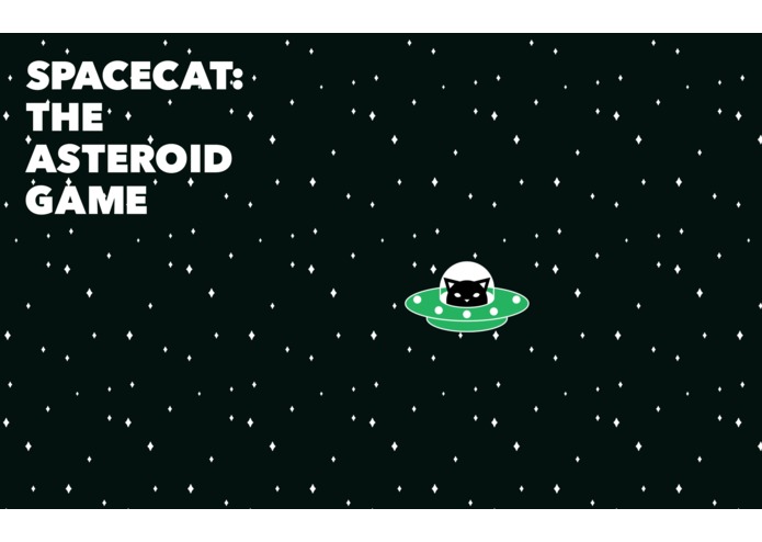 Space Cat: The Asteroid Game – screenshot 2