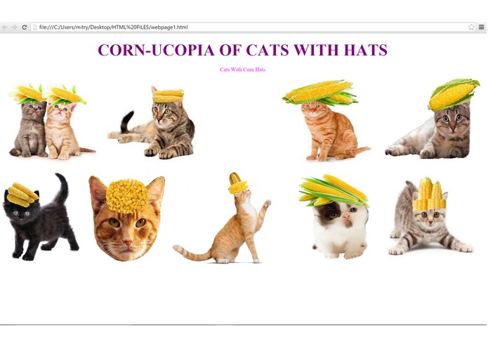 Cornucopia of Cats With Hats – screenshot 1