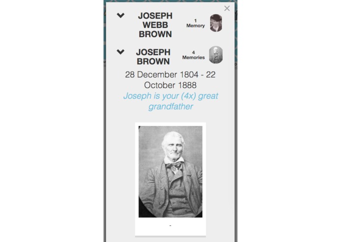 Baby Ancestry – screenshot 3