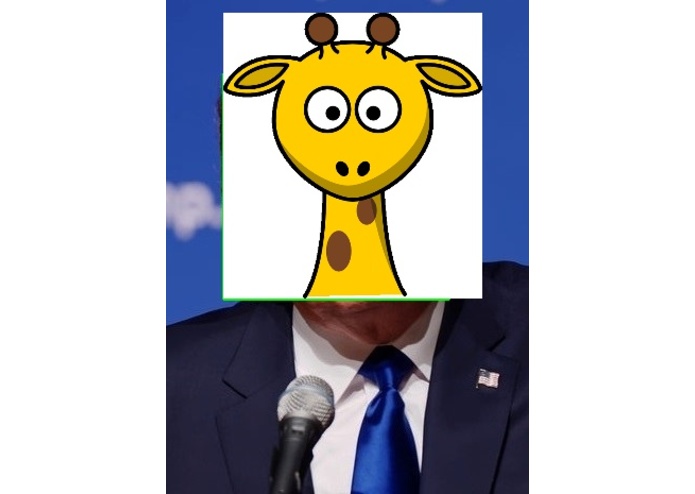 Donkey Donald – screenshot 1