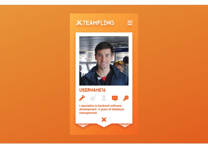TeamFling – screenshot 8