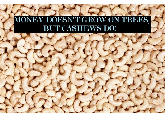 Cash-U – screenshot 2