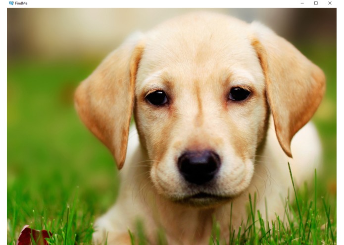 FindMe – screenshot 2