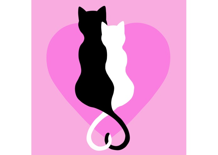 Pussy Match – screenshot 1