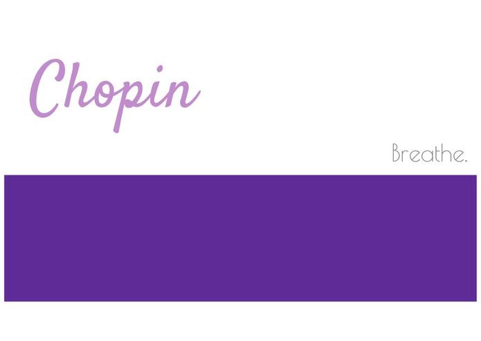 Chopin – screenshot 1