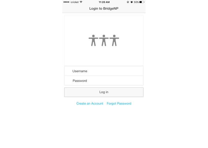 BridgeNP – screenshot 1