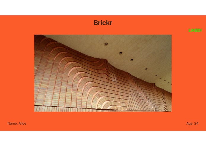 Brickr – screenshot 1