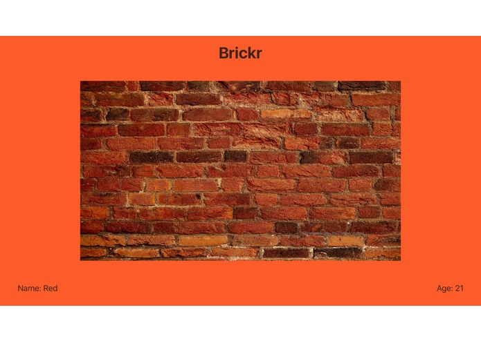 Brickr – screenshot 3