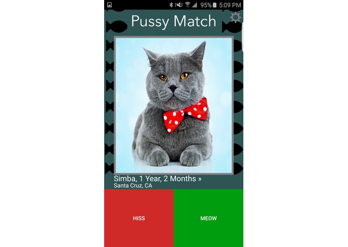 Pussy Match – screenshot 3