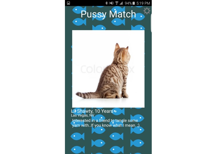 Pussy Match – screenshot 4