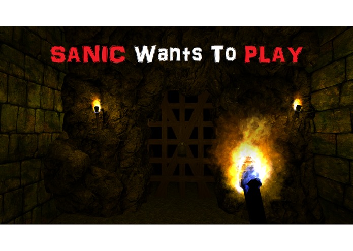 Sanic Want's to Play – screenshot 1