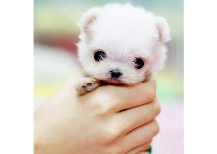 Donate2Help – screenshot 5