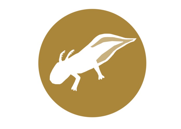 Axolocal – screenshot 4