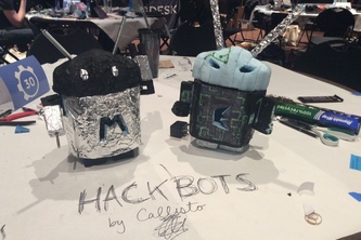 HackBots