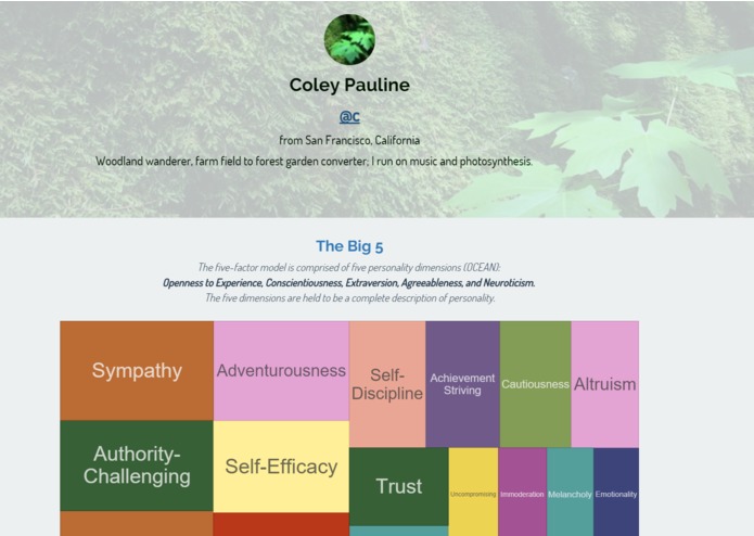 Twitter Personality Analysis – screenshot 2