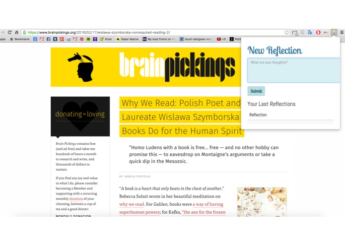 ChromeReflect – screenshot 2