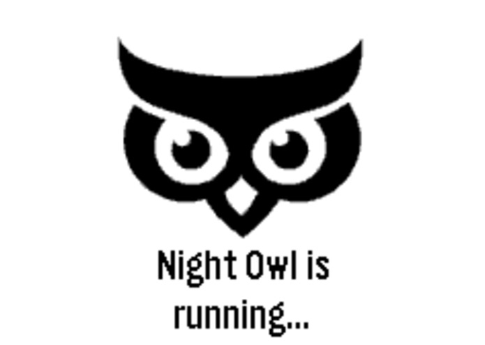 Night Owl – screenshot 1