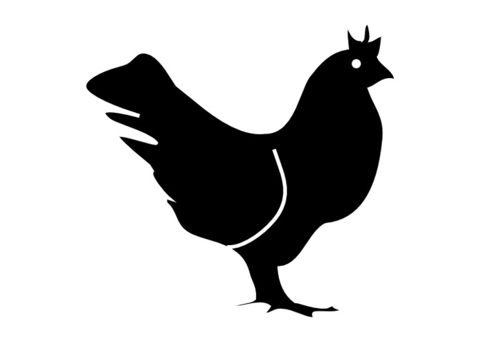 Chicken Flights – screenshot 6