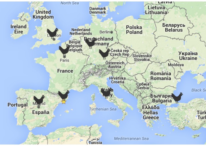 Chicken Flights – screenshot 1