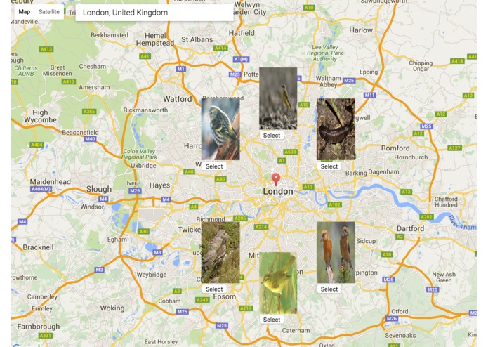 Fauna Finder – screenshot 1