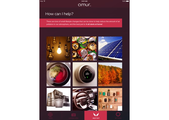 amur  – screenshot 5