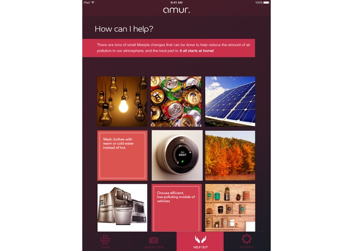 amur  – screenshot 6