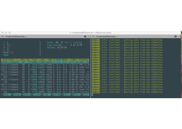 Wasabi Myo – screenshot 3