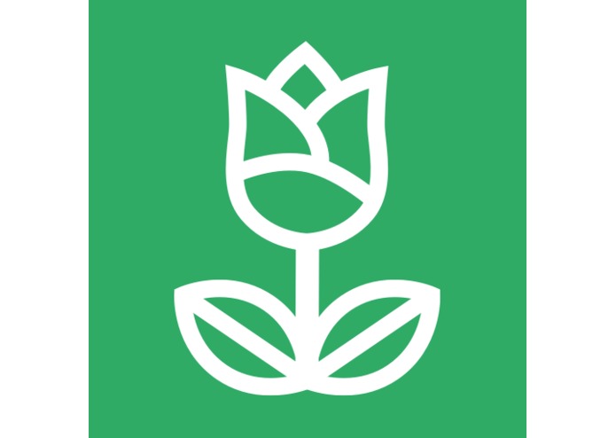 floresta – screenshot 2