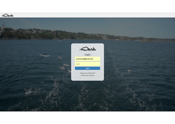 Dash – screenshot 1