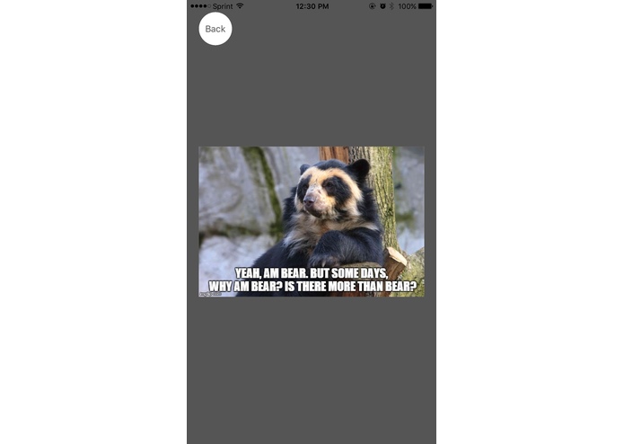 Bearly: An App – screenshot 2