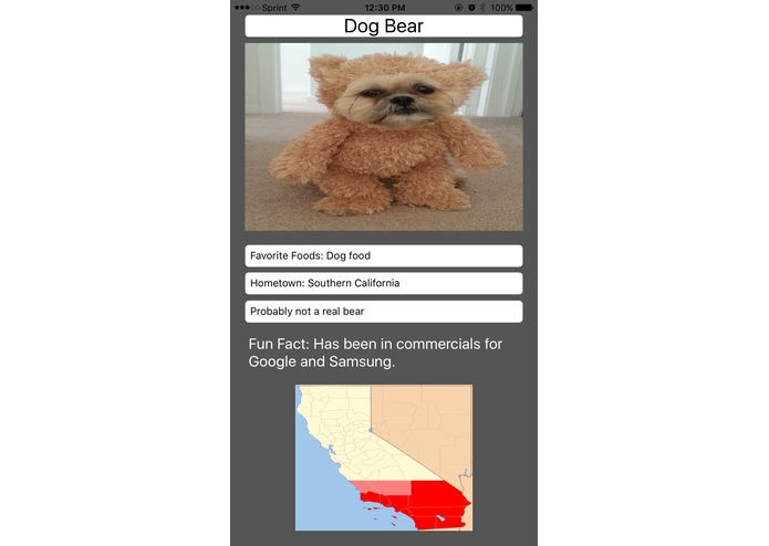 Bearly: An App – screenshot 4