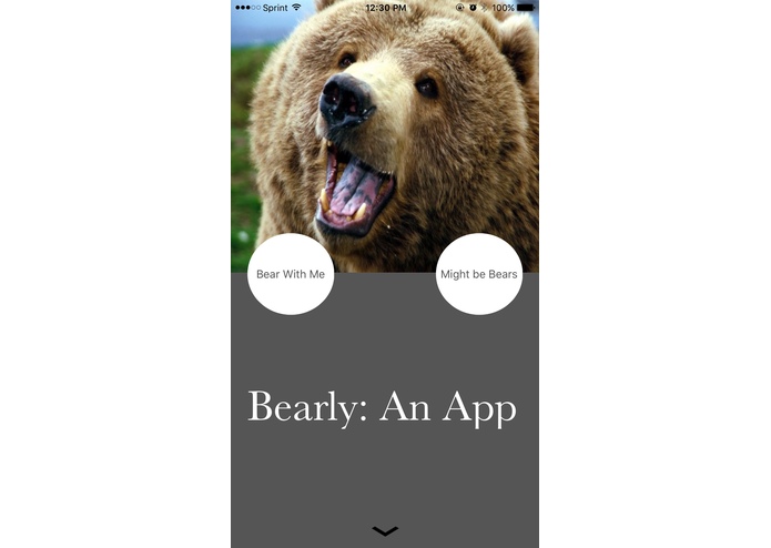 Bearly: An App – screenshot 5